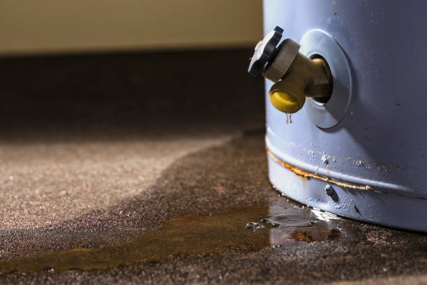 Best 24-hour water damage restoration  in Woodmere, LA