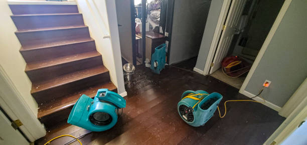 Best Water damage contractors near me  in Woodmere, LA