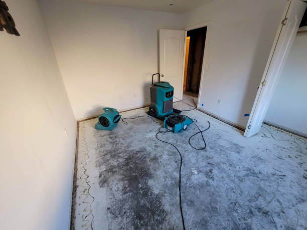 Best Commercial water damage restoration  in Woodmere, LA
