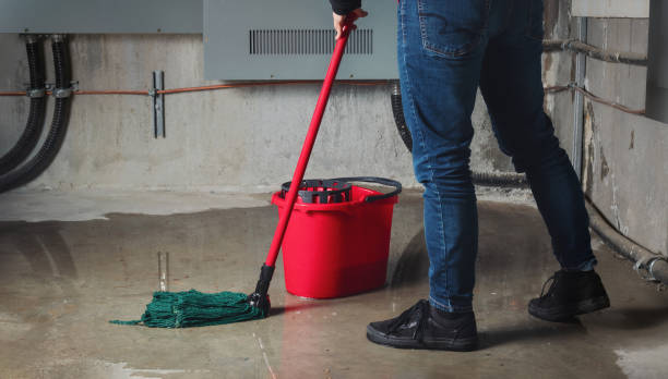 Best Water damage restoration specialists  in Woodmere, LA