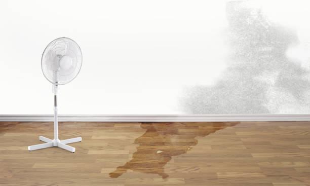 Best Ceiling water damage repair  in Woodmere, LA