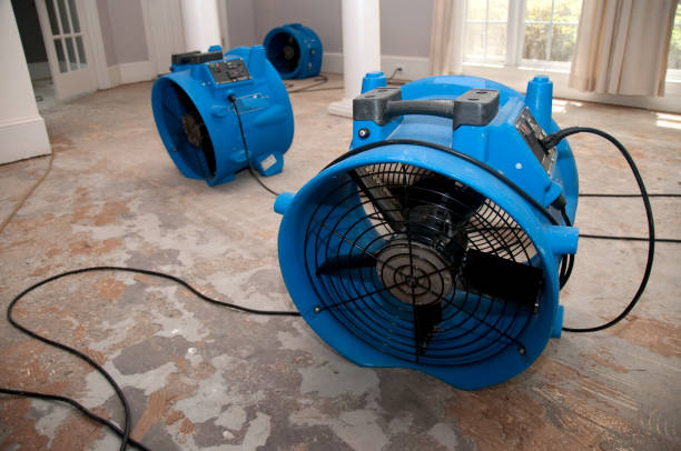 Best 24-hour water damage restoration  in Woodmere, LA
