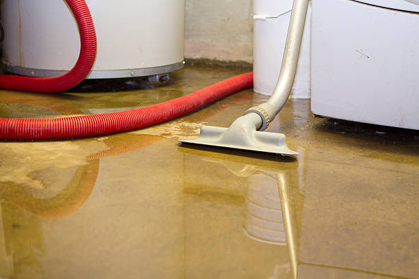 Water damage restoration experts in LA