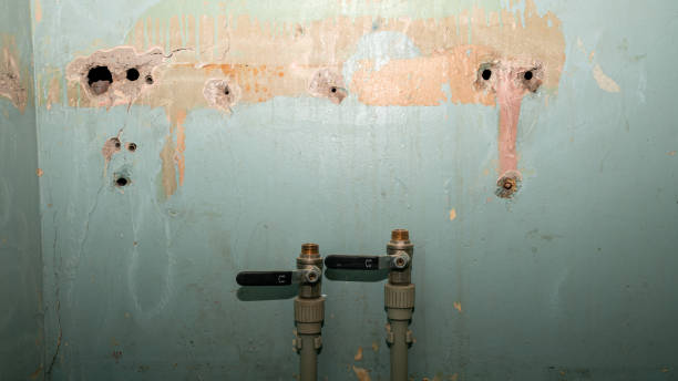 Best Fire Damage Restoration  in Woodmere, LA