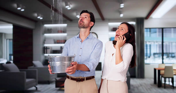Water damage restoration mold remediation in LA