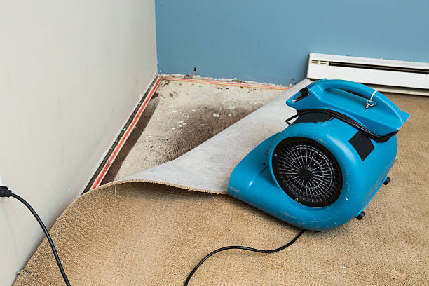 Best Water damage restoration near me  in Woodmere, LA